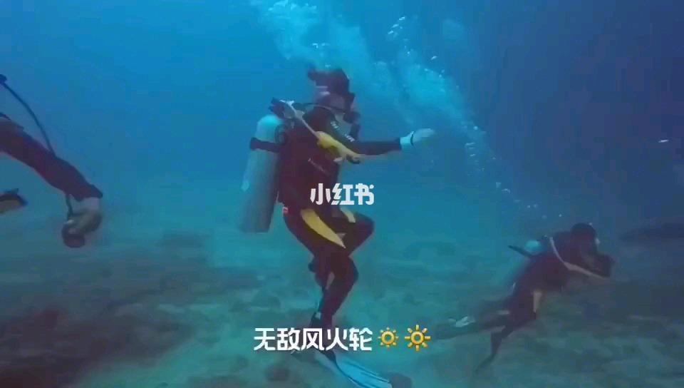 逃离梦想之家